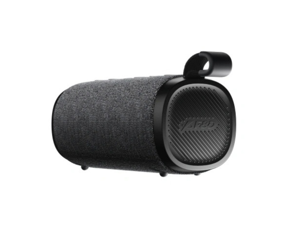 F&D Passion 30 Portable Bluetooth Speaker