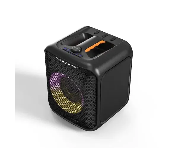 F&D PA100 Bluetooth Party Speaker