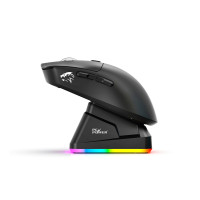 Mouse-image